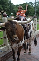 Kids_FWStockyards-2013 (25)